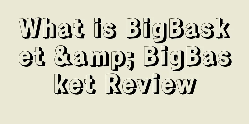 What is BigBasket & BigBasket Review