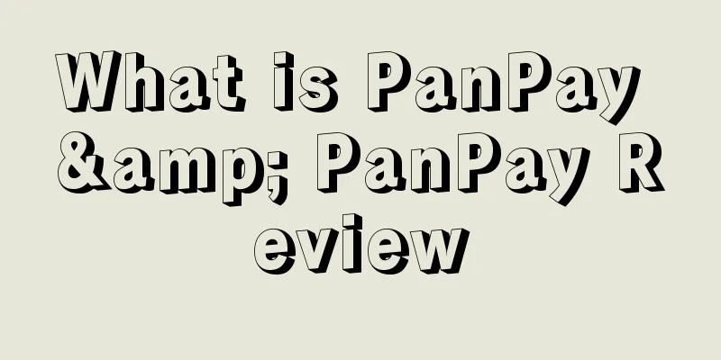 What is PanPay & PanPay Review