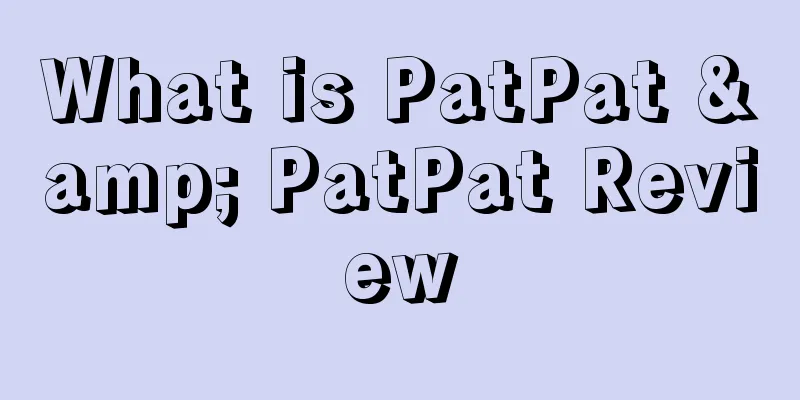 What is PatPat & PatPat Review