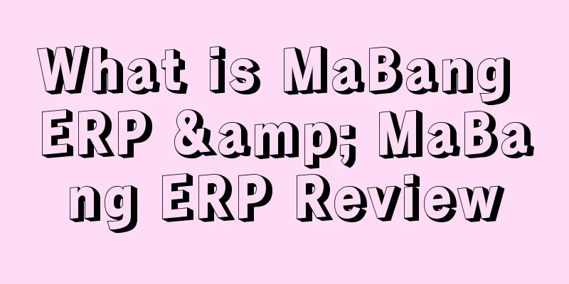 What is MaBang ERP & MaBang ERP Review