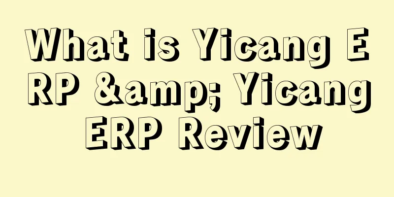 What is Yicang ERP & Yicang ERP Review
