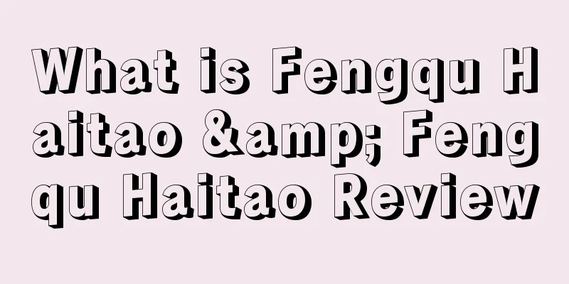 What is Fengqu Haitao & Fengqu Haitao Review