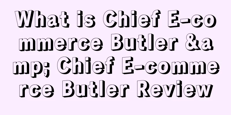 What is Chief E-commerce Butler & Chief E-commerce Butler Review