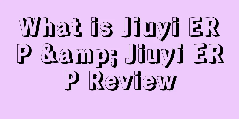 What is Jiuyi ERP & Jiuyi ERP Review