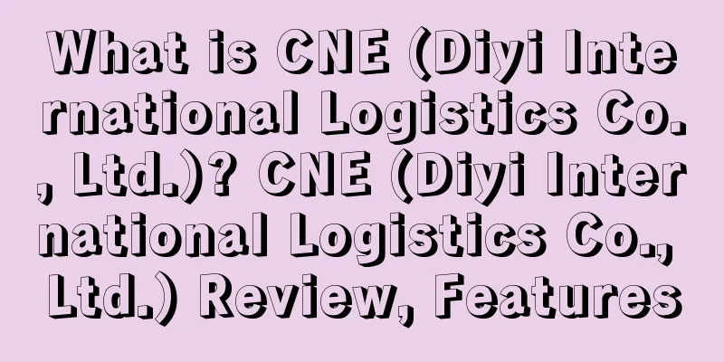 What is CNE (Diyi International Logistics Co., Ltd.)? CNE (Diyi International Logistics Co., Ltd.) Review, Features