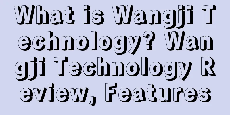 What is Wangji Technology? Wangji Technology Review, Features