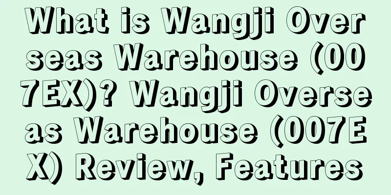 What is Wangji Overseas Warehouse (007EX)? Wangji Overseas Warehouse (007EX) Review, Features
