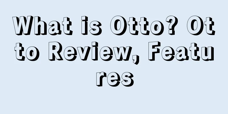 What is Otto? Otto Review, Features