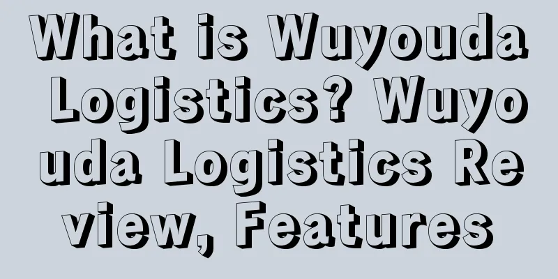 What is Wuyouda Logistics? Wuyouda Logistics Review, Features