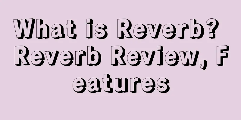 What is Reverb? Reverb Review, Features
