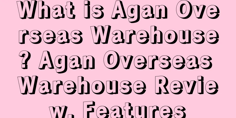 What is Agan Overseas Warehouse? Agan Overseas Warehouse Review, Features