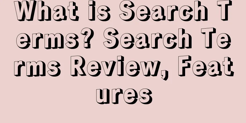What is Search Terms? Search Terms Review, Features