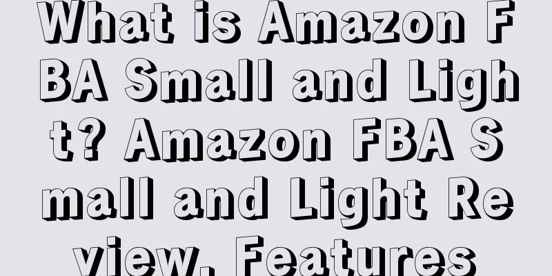 What is Amazon FBA Small and Light? Amazon FBA Small and Light Review, Features