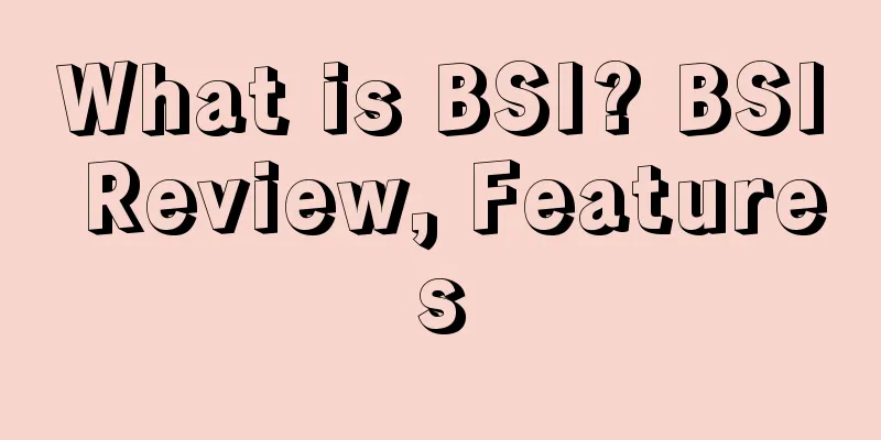 What is BSI? BSI Review, Features