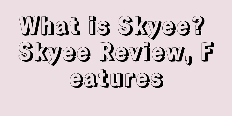 What is Skyee? Skyee Review, Features