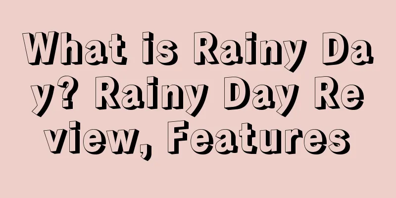 What is Rainy Day? Rainy Day Review, Features