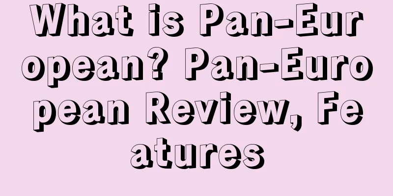 What is Pan-European? Pan-European Review, Features