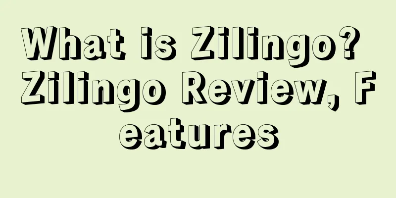 What is Zilingo? Zilingo Review, Features