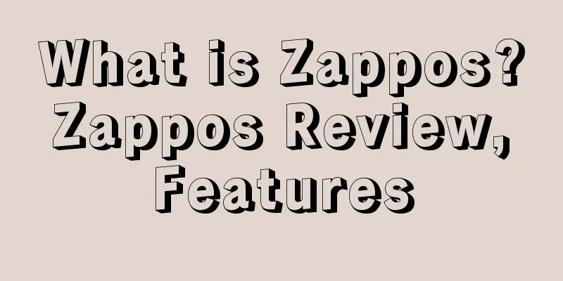 What is Zappos? Zappos Review, Features