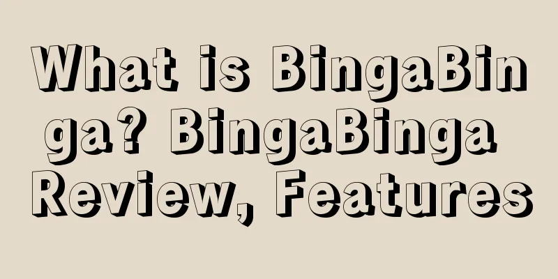 What is BingaBinga? BingaBinga Review, Features