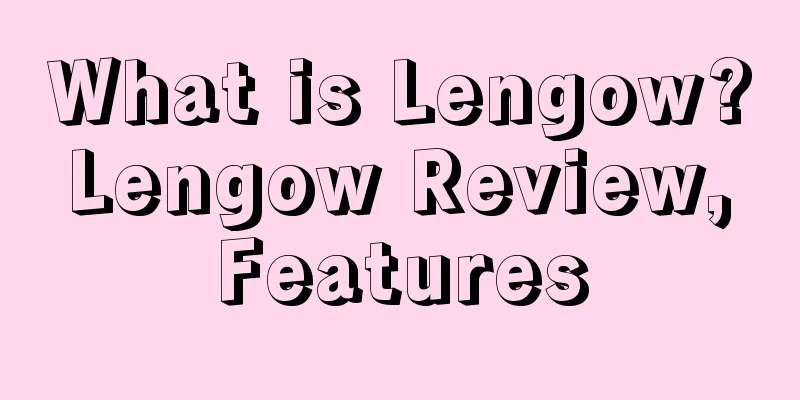 What is Lengow? Lengow Review, Features
