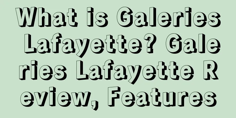 What is Galeries Lafayette? Galeries Lafayette Review, Features