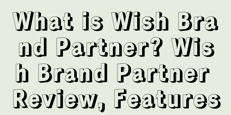 What is Wish Brand Partner? Wish Brand Partner Review, Features