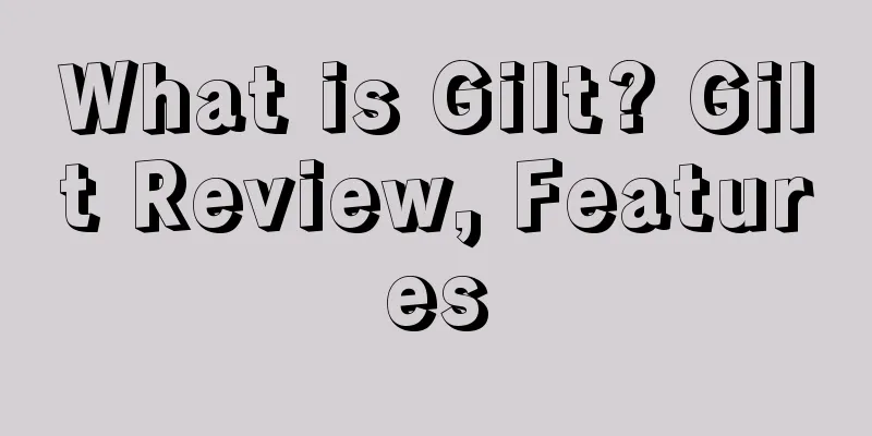 What is Gilt? Gilt Review, Features