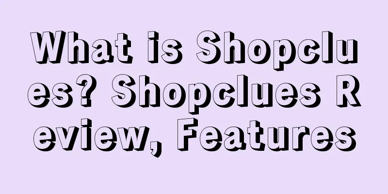 What is Shopclues? Shopclues Review, Features