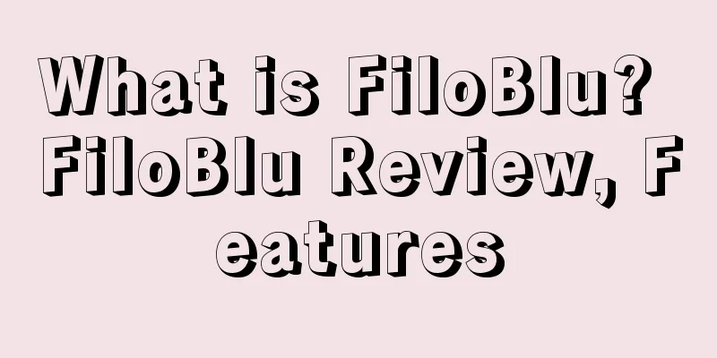 What is FiloBlu? FiloBlu Review, Features