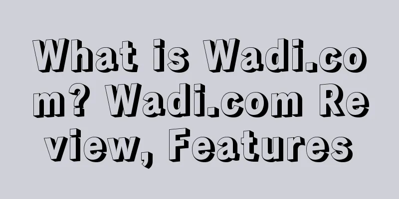 What is Wadi.com? Wadi.com Review, Features