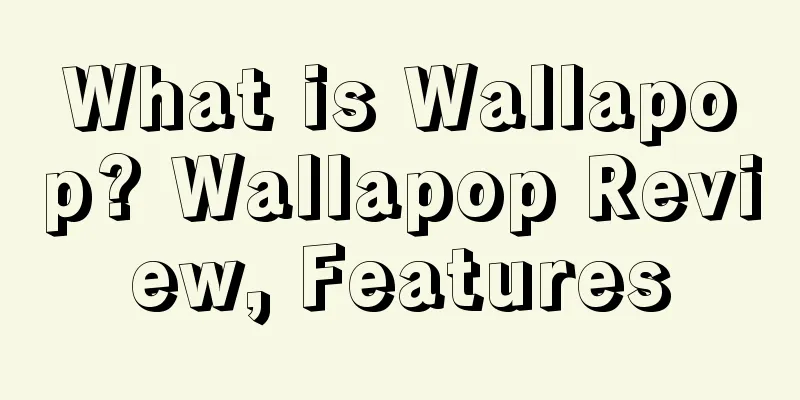 What is Wallapop? Wallapop Review, Features