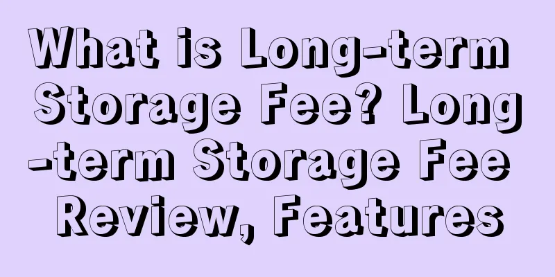 What is Long-term Storage Fee? Long-term Storage Fee Review, Features