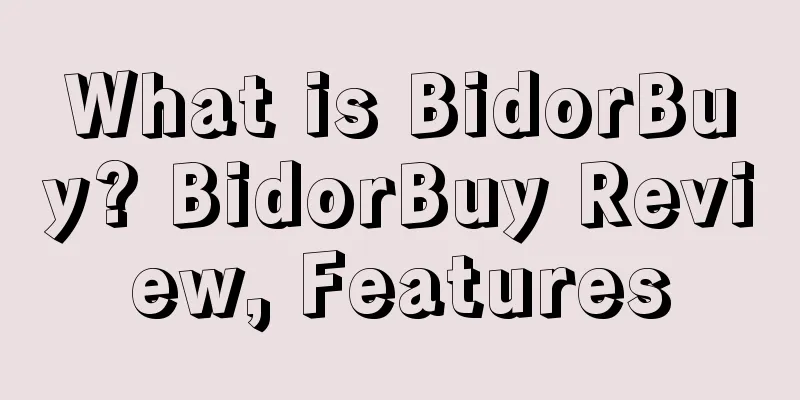What is BidorBuy? BidorBuy Review, Features