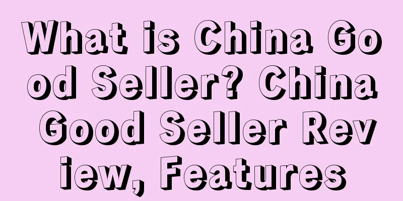 What is China Good Seller? China Good Seller Review, Features