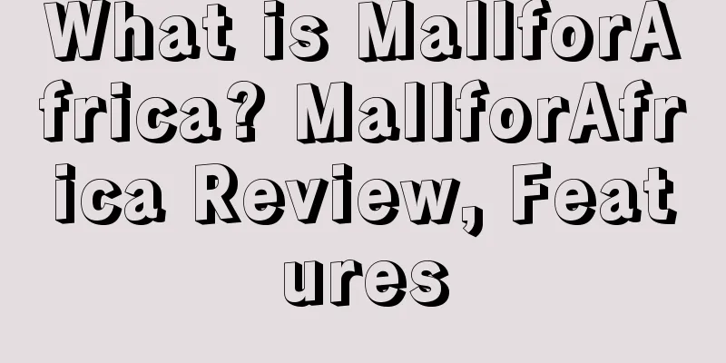 What is MallforAfrica? MallforAfrica Review, Features