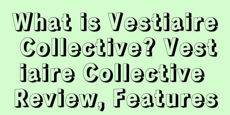 What is Vestiaire Collective? Vestiaire Collective Review, Features
