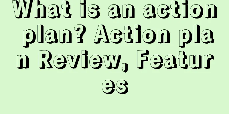 What is an action plan? Action plan Review, Features