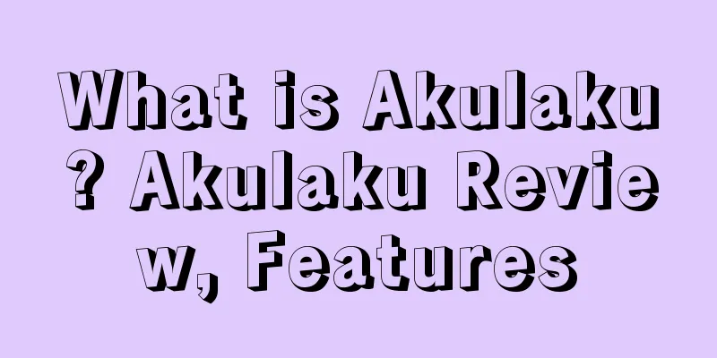 What is Akulaku? Akulaku Review, Features