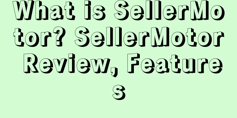 What is SellerMotor? SellerMotor Review, Features