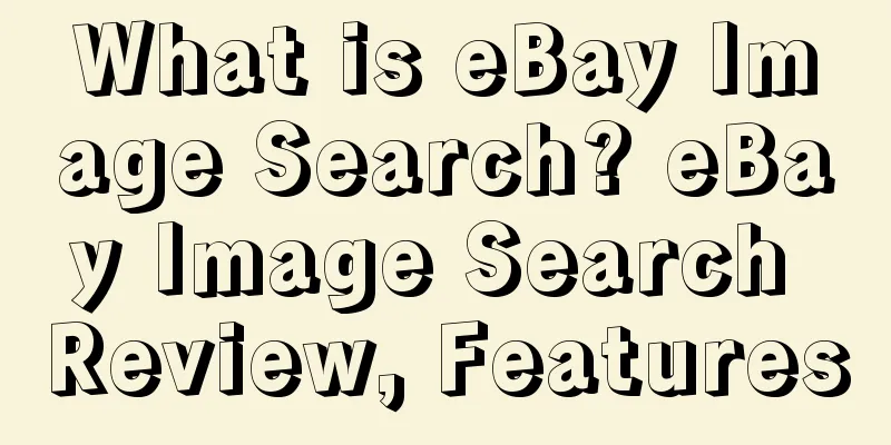 What is eBay Image Search? eBay Image Search Review, Features
