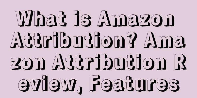 What is Amazon Attribution? Amazon Attribution Review, Features