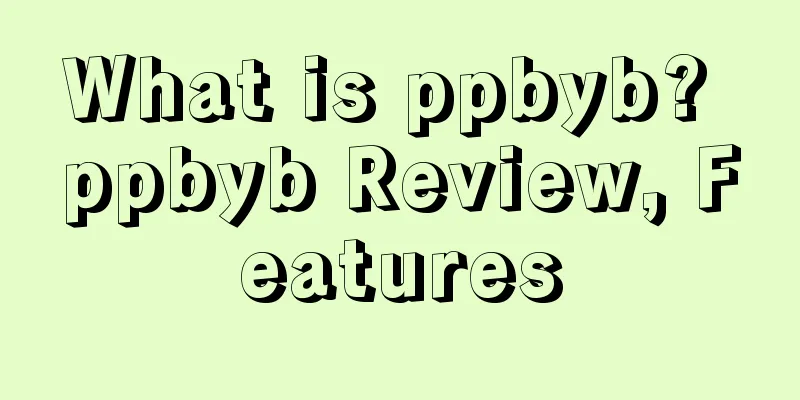 What is ppbyb? ppbyb Review, Features