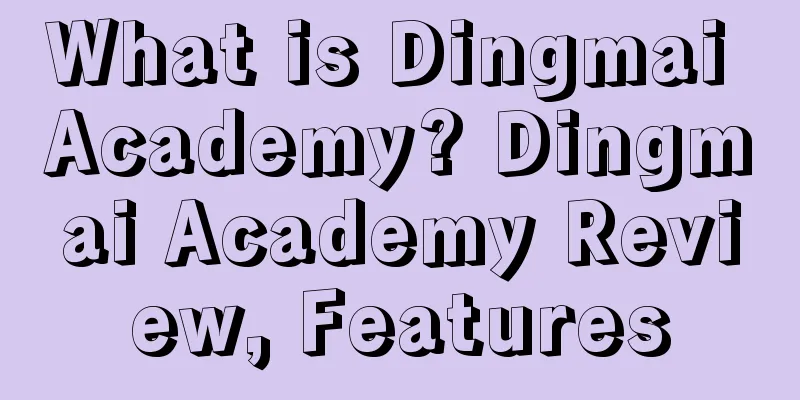 What is Dingmai Academy? Dingmai Academy Review, Features