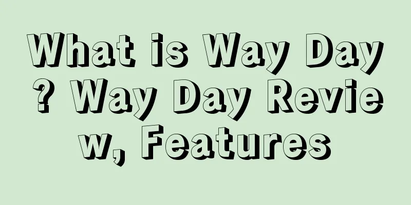 What is Way Day? Way Day Review, Features