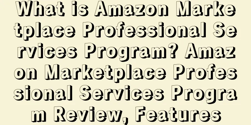 What is Amazon Marketplace Professional Services Program? Amazon Marketplace Professional Services Program Review, Features