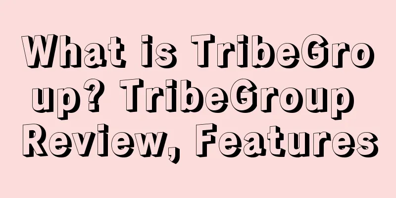What is TribeGroup? TribeGroup Review, Features