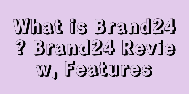 What is Brand24? Brand24 Review, Features