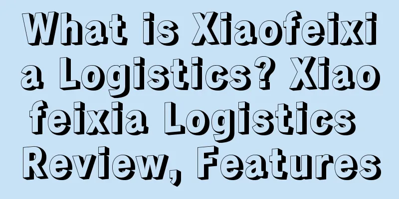 What is Xiaofeixia Logistics? Xiaofeixia Logistics Review, Features