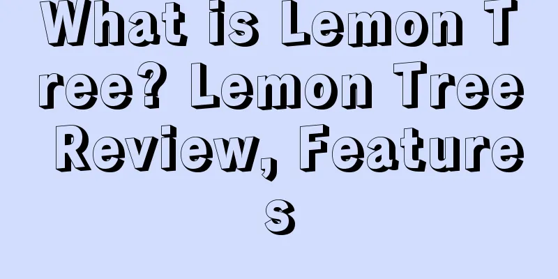 What is Lemon Tree? Lemon Tree Review, Features